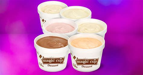 Nagic Cups Ice Cream: An Enchanting Treat for the Senses